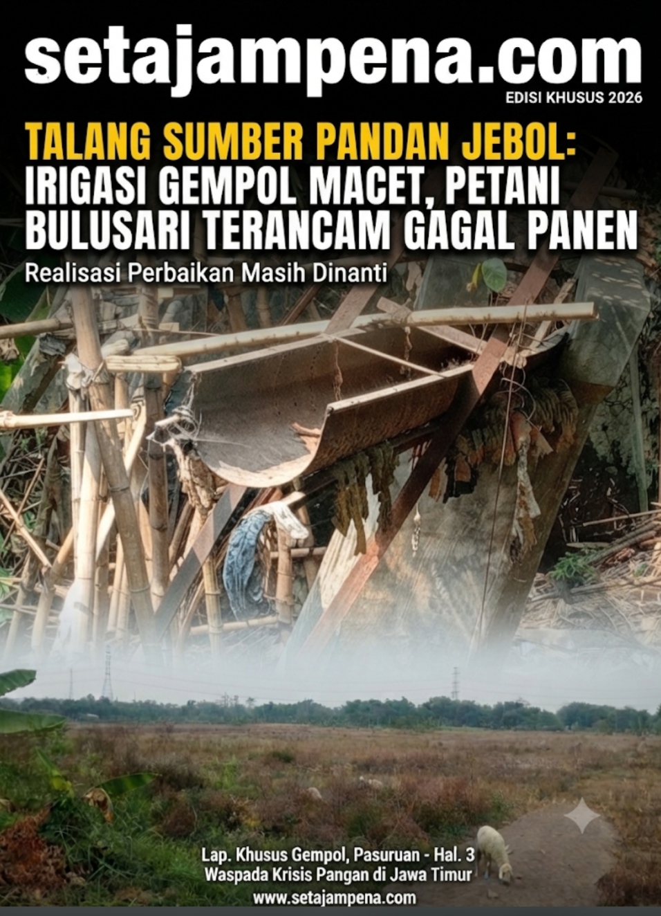 Talang Sumber Pandan Jebol, Petani Bulusari Gagal Panen